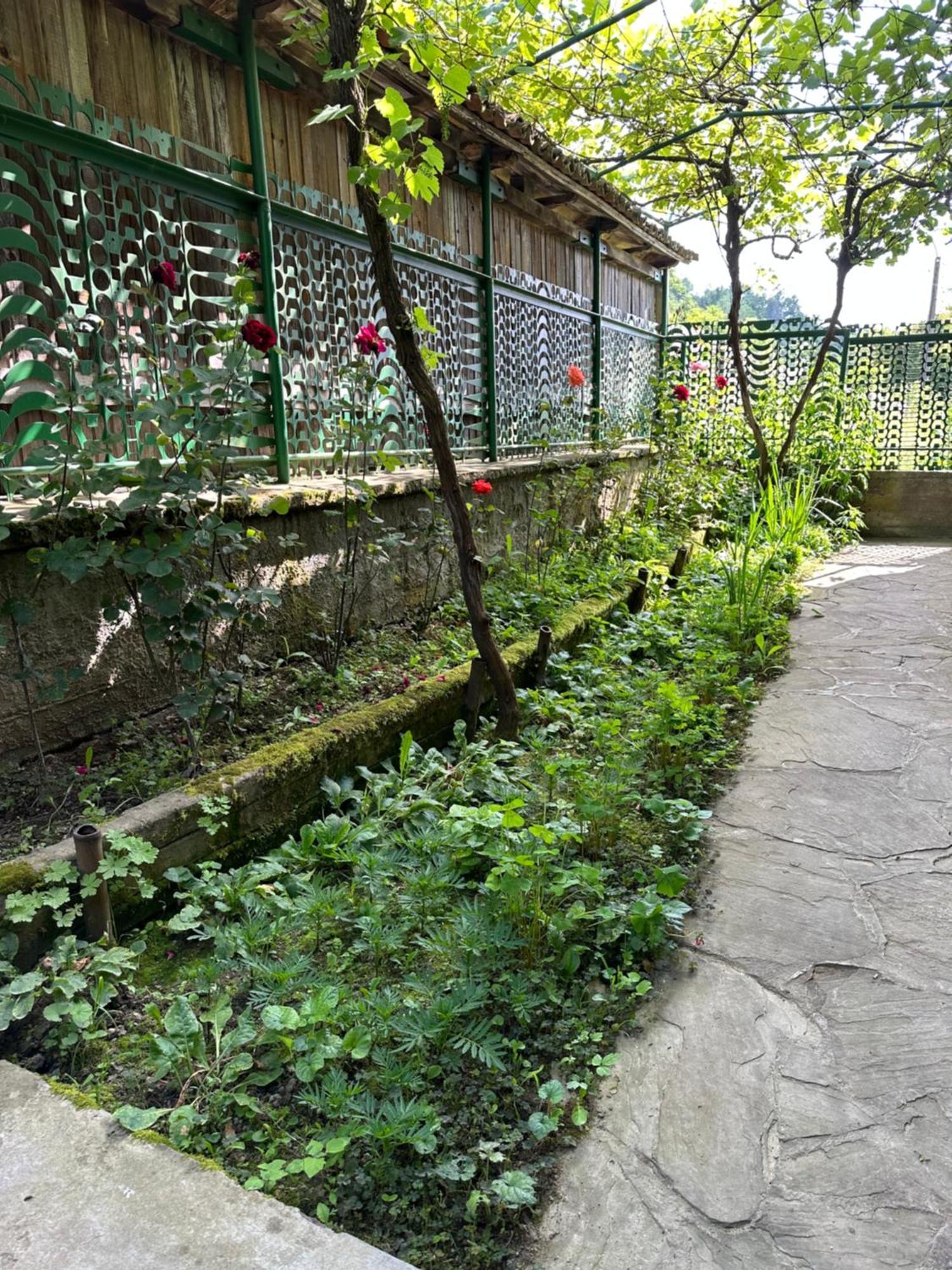 Вила Чевермето Palitsi Bagian luar foto