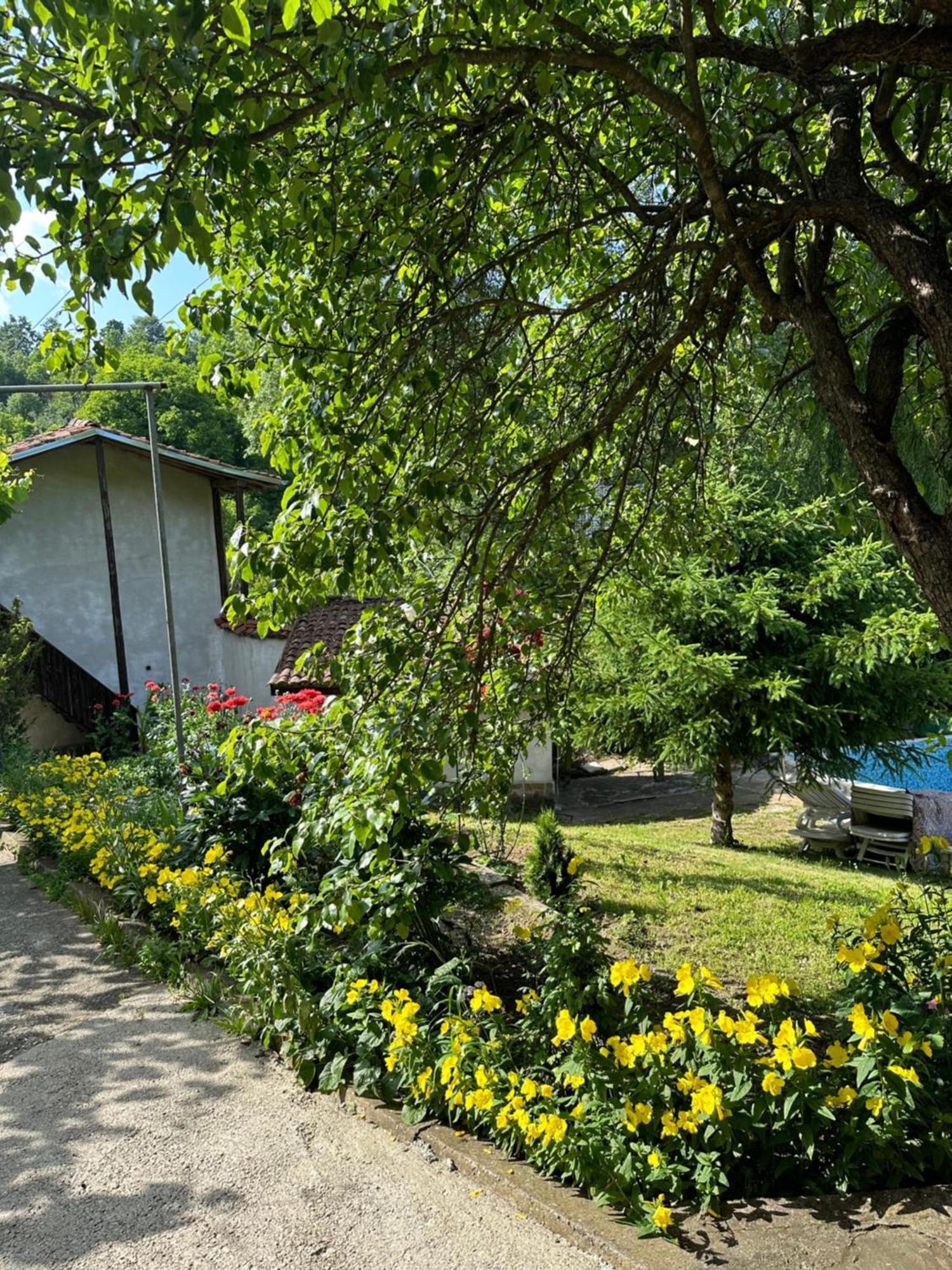 Вила Чевермето Palitsi Bagian luar foto